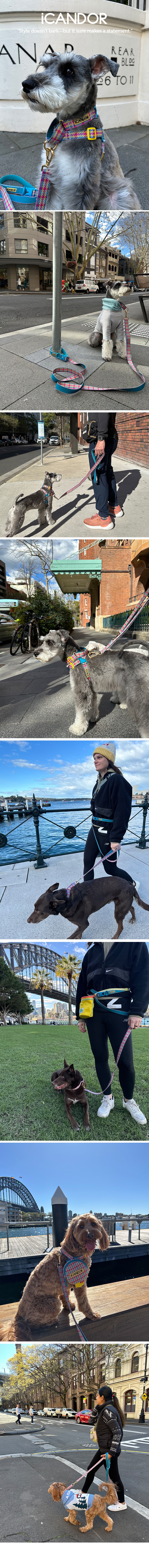 imgi_30_1_EC9DB4EBAFB8ECA780_EBB3BCED8AB8_EC9790EB93A0EBB284EB9FAC