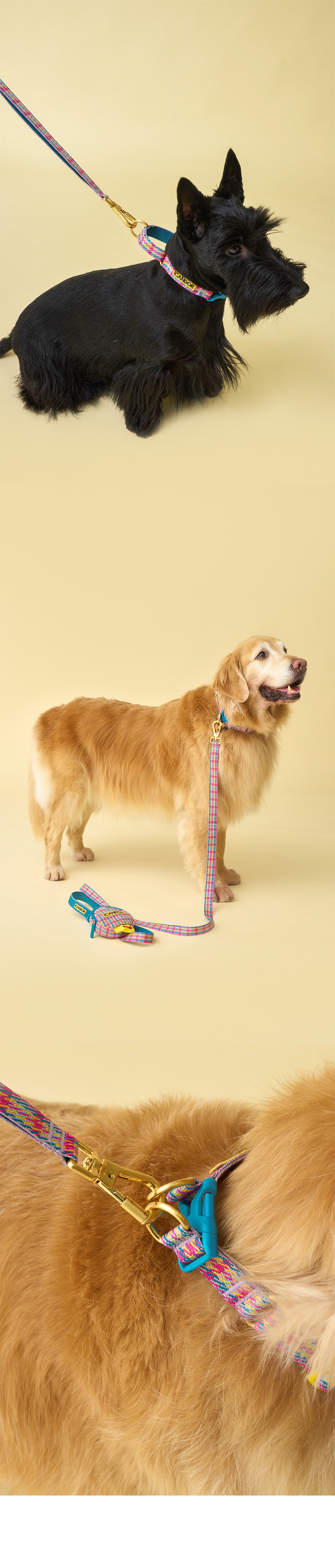 5_ED98B8EBA6ACECA1B420EC9DB4EBAFB8ECA780_EBB3BCED8AB8_Edinburgh20Check