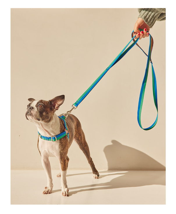 螢幕擷取畫面 2025-10-01 125143