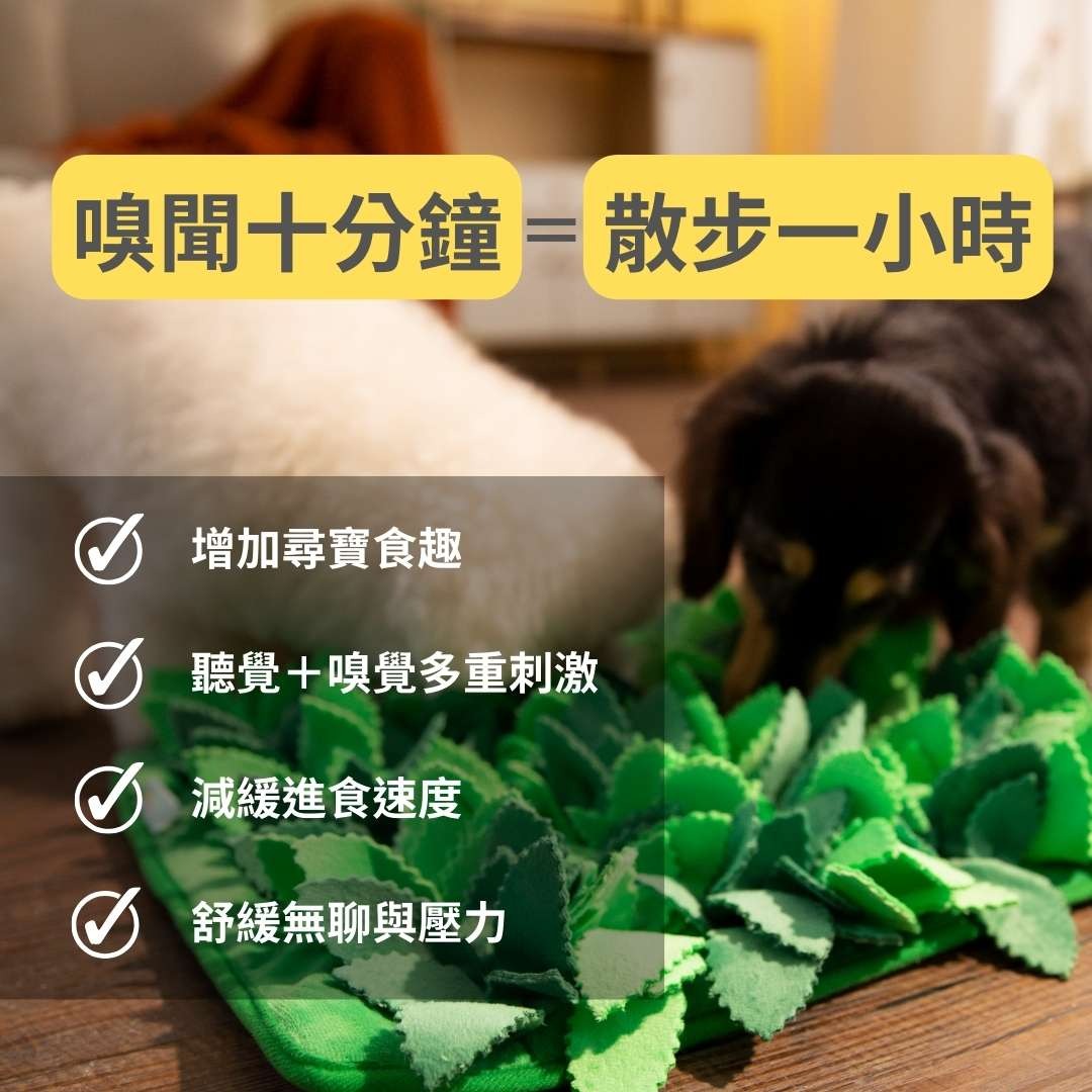 imgi_24_16_96a73f7d-1f8e-4a4c-bf64-6e309d0d5bcf