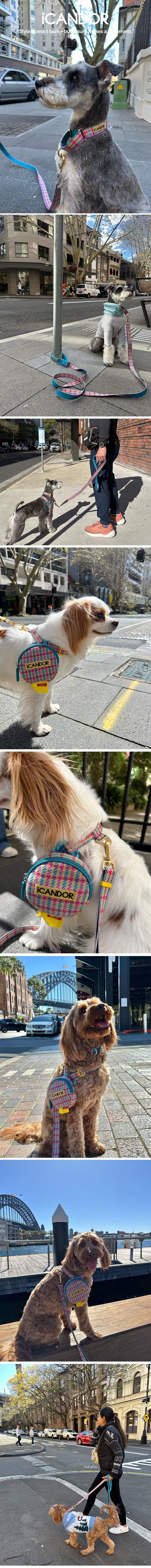 imgi_23_copy-1757984927-1-1_EC9DB4EBAFB8ECA780_EBA788ED8BB4EAB28CEC9DBCECB9B4EB9DBC_EC9790EB93A0EBB284EB9FAC