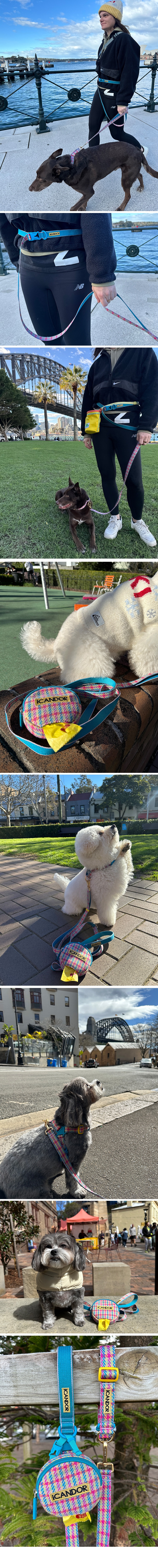 imgi_24_copy-1757984927-2_EC9DB4EBAFB8ECA780_ED9598EB84A4EC8AA4_EC9790EB93A0EBB284EB9FAC-1