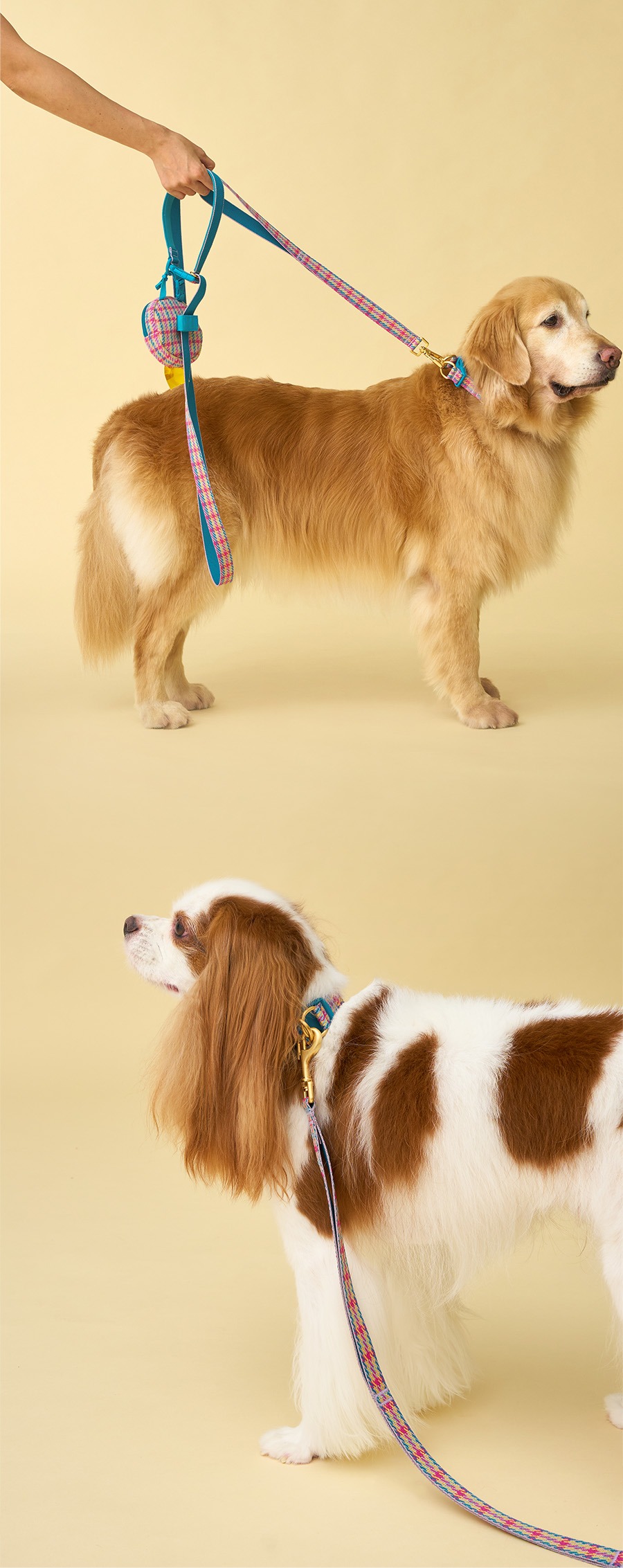 imgi_27_5_ED98B8EBA6ACECA1B4_ECB9B4EB9DBC