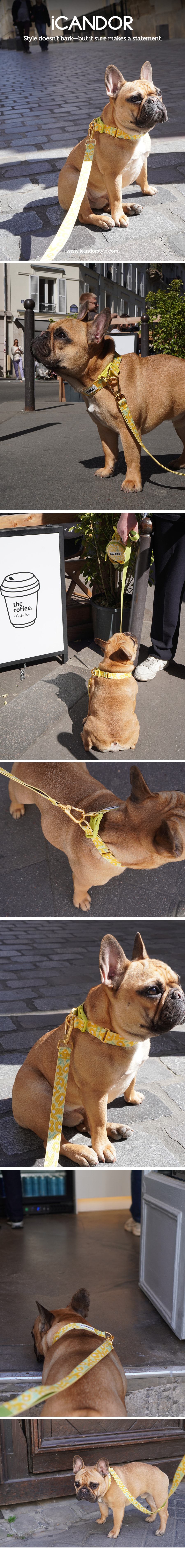 imgi_26_1_EC9DB4EBAFB8ECA780_ECA0A0ED8B8020ECB9B4EB9DBC20EB9380EC96BC_EBB985ED94BCEC89AC20EC9890EBA19CEC9AB0