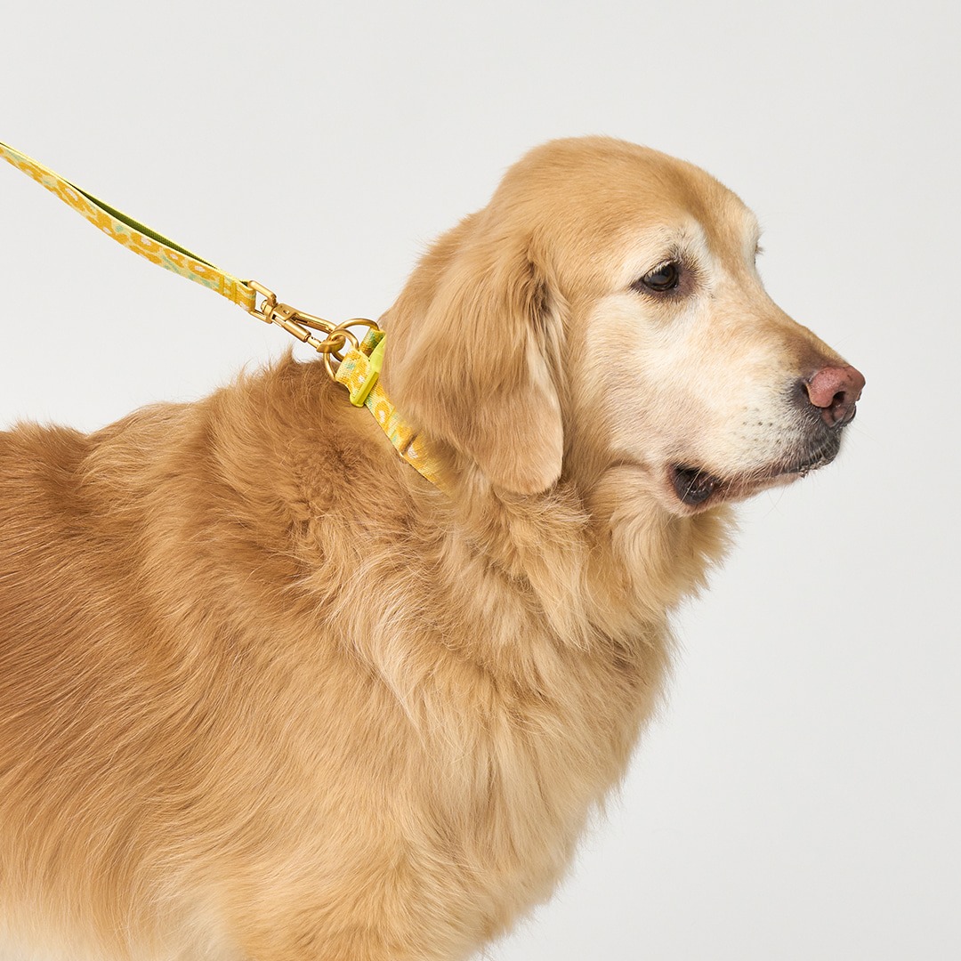 imgi_13_eaa79c488b8dfa609f913686f553610f