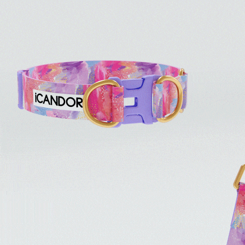 11_EB9380EC96BC2BEBB3BCED8AB8