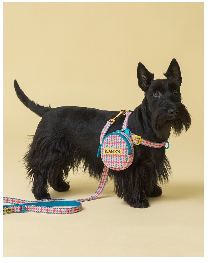 imgi_33_5_EB85B8ED9280ED9598EB84A4EC8AA4_EB9DBCEC9DB8EBB380