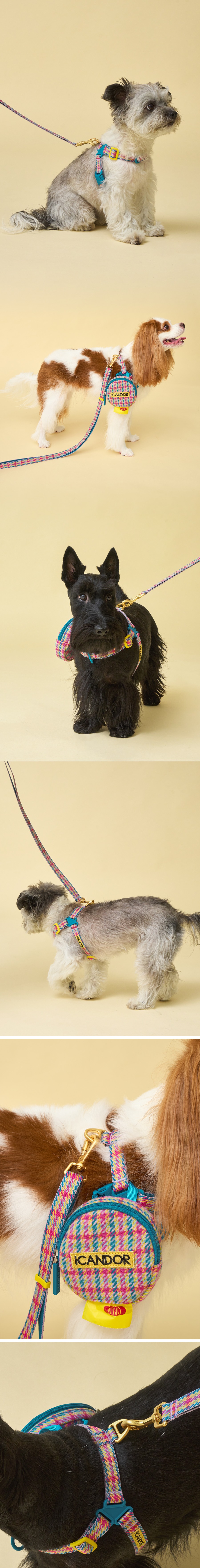 imgi_34_6_ED9598EB84A4EC8AA4-ED98B8EBA6ACECA1B4