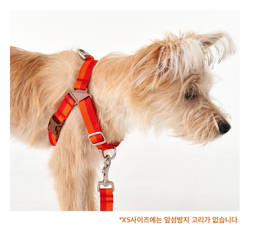 imgi_36_8_EB85B8ED9280ED9598EB84A4EC8AA4_EC8381EC84B81_Edinburgh20Check