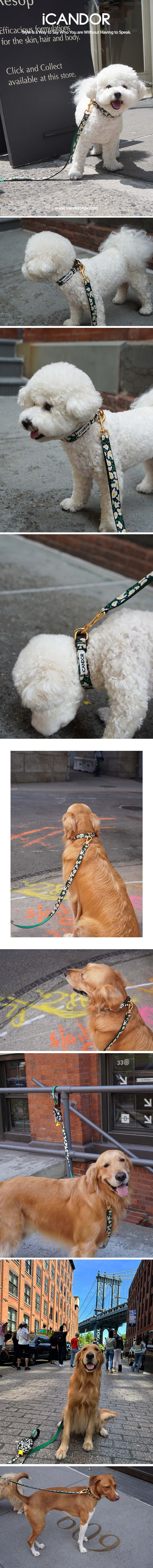 copy-1716801620-1_EC9DB4EBAFB8ECA780_ECA0A0ED8B80ECB9B4EB9DBCEB9380EC96BC_20EBB985ED94BCEC89AC