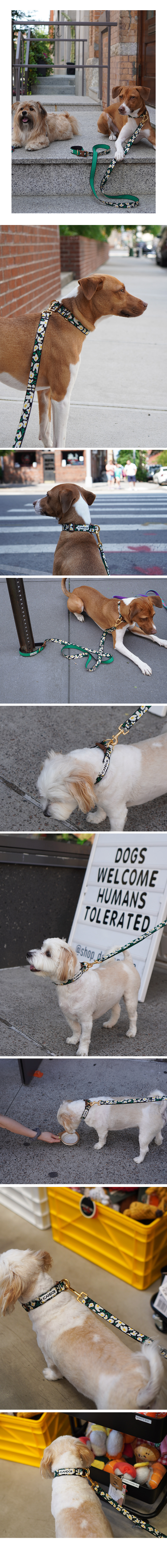 copy-1716801620-2_EC9DB4EBAFB8ECA780_ECA0A0ED8B80ECB9B4EB9DBCEB9380EC96BC_20EBB985ED94BCEC89AC