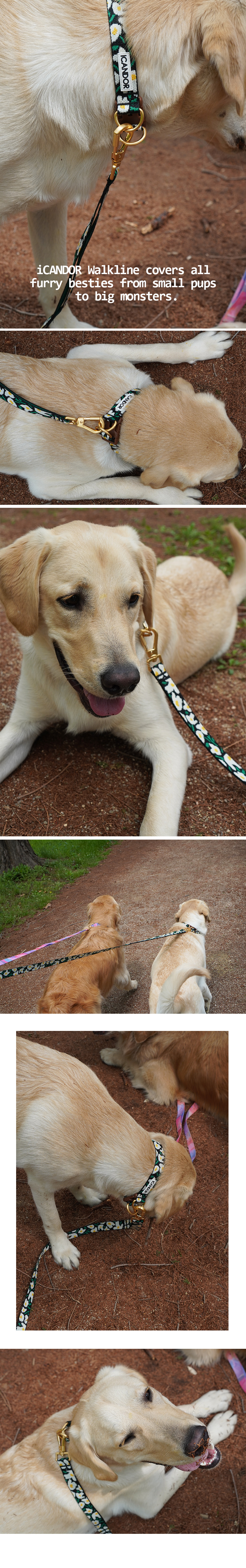 copy-1716801620-11_EC9DB4EBAFB8ECA780_25mm_EBB985ED94BCEC89AC