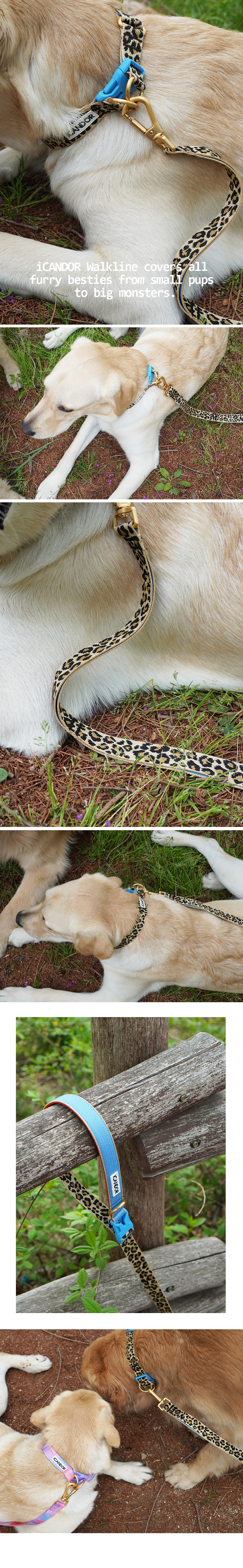 copy-1716801992-9_EC9DB4EBAFB8ECA780_25mm20EBA088EC98A4ED8C8CEB939C