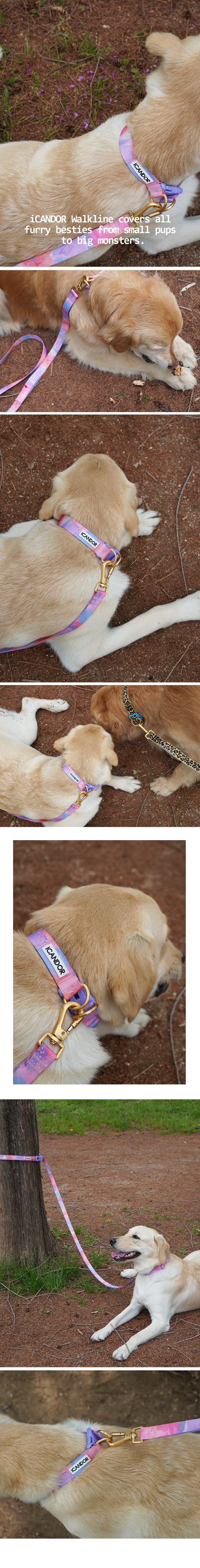 copy-1716801861-10_EC9DB4EBAFB8ECA780_25mm20EBB080ED82A4EC9BA8EC9DB4