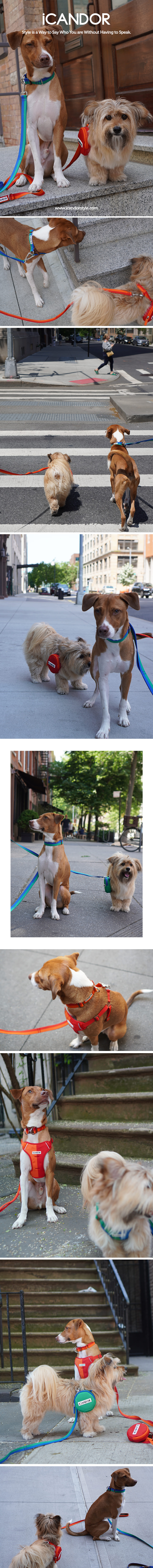 copy-1716802085-1_EC9DB4EBAFB8ECA780_ECA0A0ED8B80ECB9B4EB9DBCEB9380EC96BC_EC8DACEC858B2CED8FACEBA088EC8AA4ED8AB81