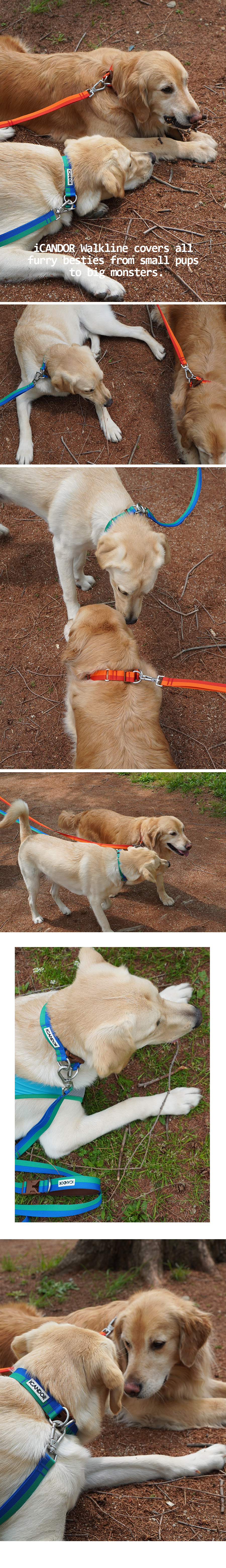 copy-1716802085-11_EC9DB4EBAFB8ECA780_25mm20EC8DACEC858B2CED8FACEBA088EC8AA4ED8AB8