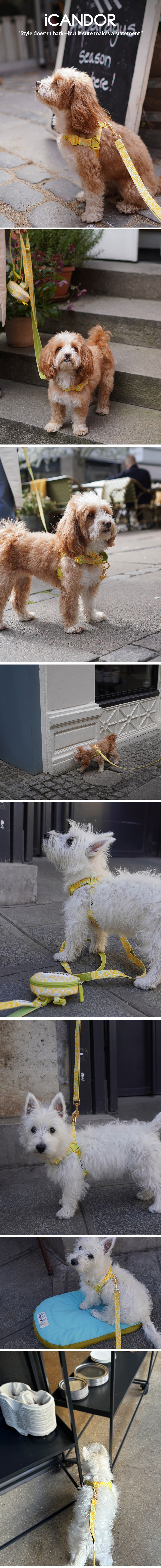 imgi_36_8800c140-d6b2-40ab-90d8-9cc9c8968b8d_1756285333645