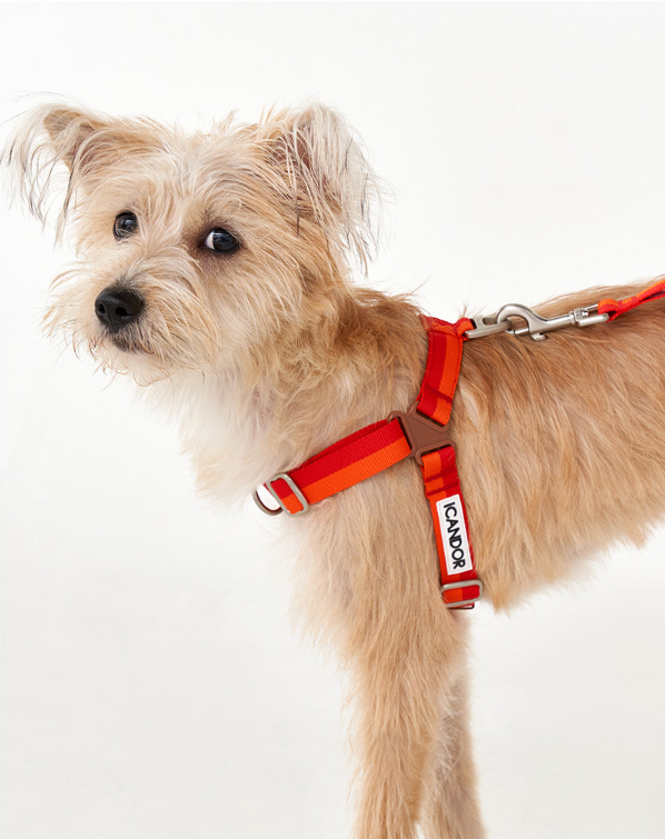 螢幕擷取畫面 2025-10-08 130559