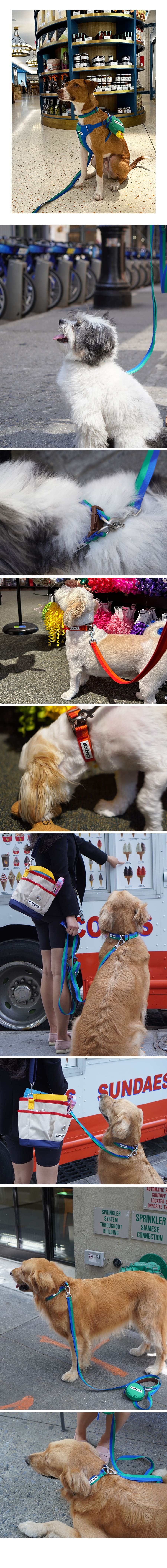 imgi_27_2_EC9DB4EBAFB8ECA780_ECA0A0ED8B80ECB9B4EB9DBCEB9380EC96BC_EC8DACEC858B2CED8FACEBA088EC8AA4ED8AB82