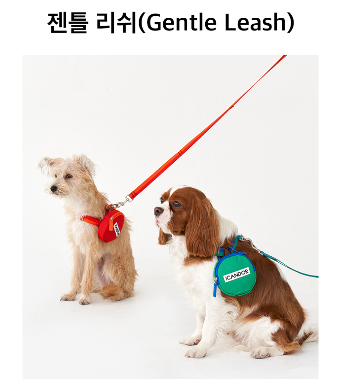 螢幕擷取畫面 2025-10-09 114446