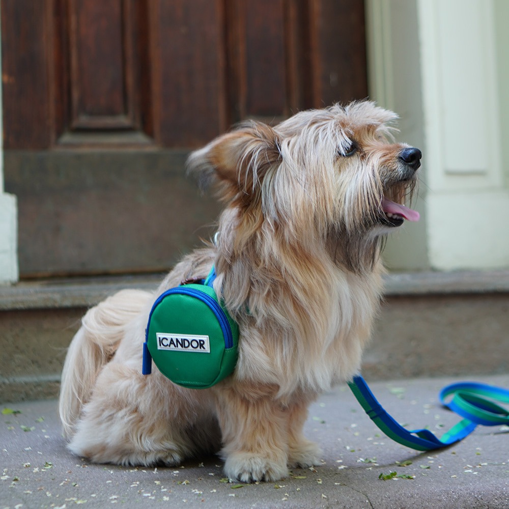 imgi_15_184fa0aca5c5e7a8509560f0175a5340