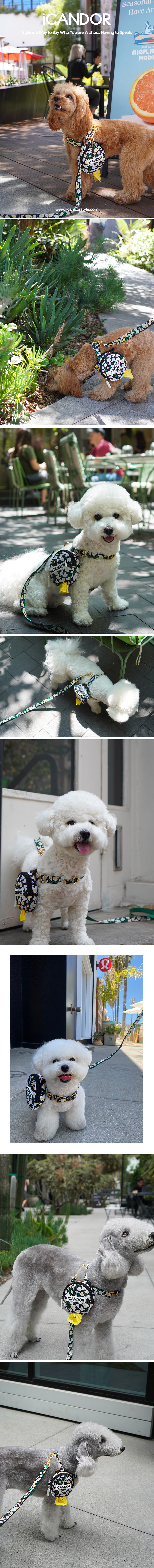 copy-1688275468-EC9DB4EBAFB8ECA780_EBB985ED94BCEC89AC_LA2CNYC1