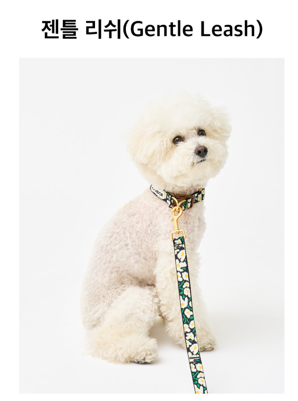 螢幕擷取畫面 2025-10-09 130541