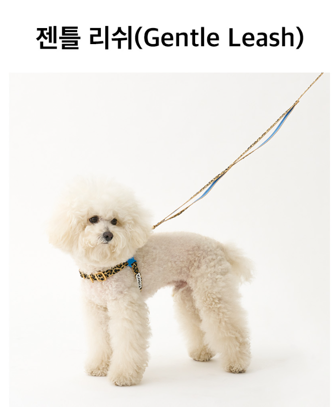 螢幕擷取畫面 2025-10-09 132612