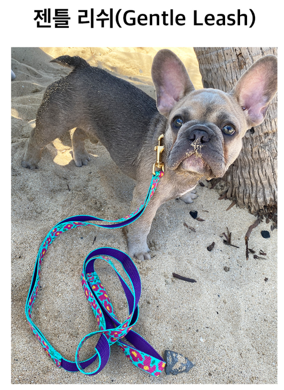 螢幕擷取畫面 2025-10-09 141021