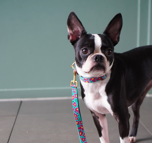 螢幕擷取畫面 2025-10-09 141306