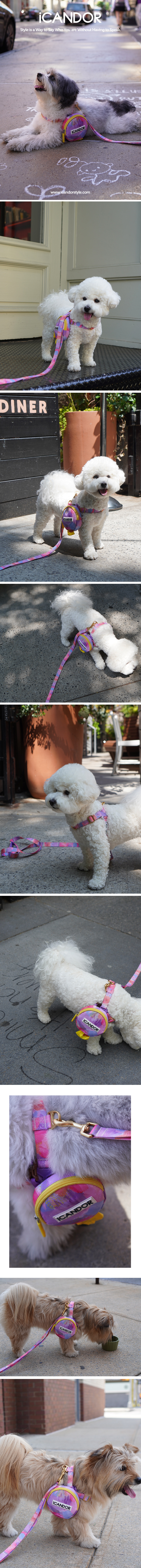 1_EC9DB4EBAFB8ECA780_EBB080ED82A4EC9BA8EC9DB420NYC201-21