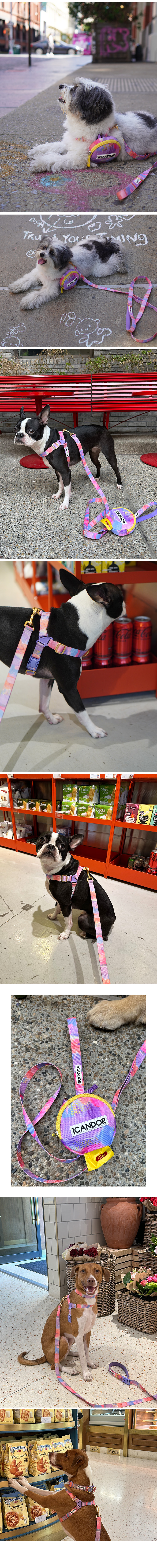 2_EC9DB4EBAFB8ECA780_EBB080ED82A4EC9BA8EC9DB420NYC1-1