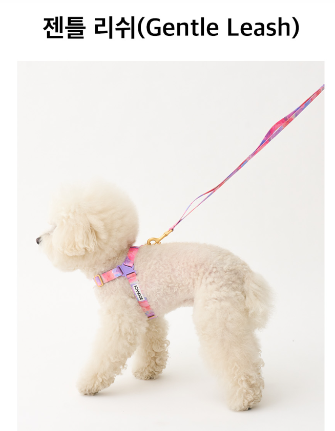 螢幕擷取畫面 2025-10-09 142933