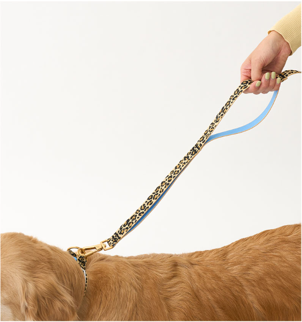 螢幕擷取畫面 2025-10-09 150142