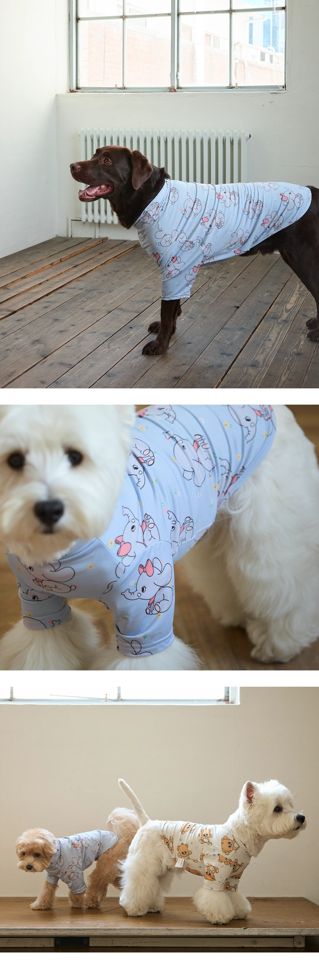 imgi_87_1ede550b27b08