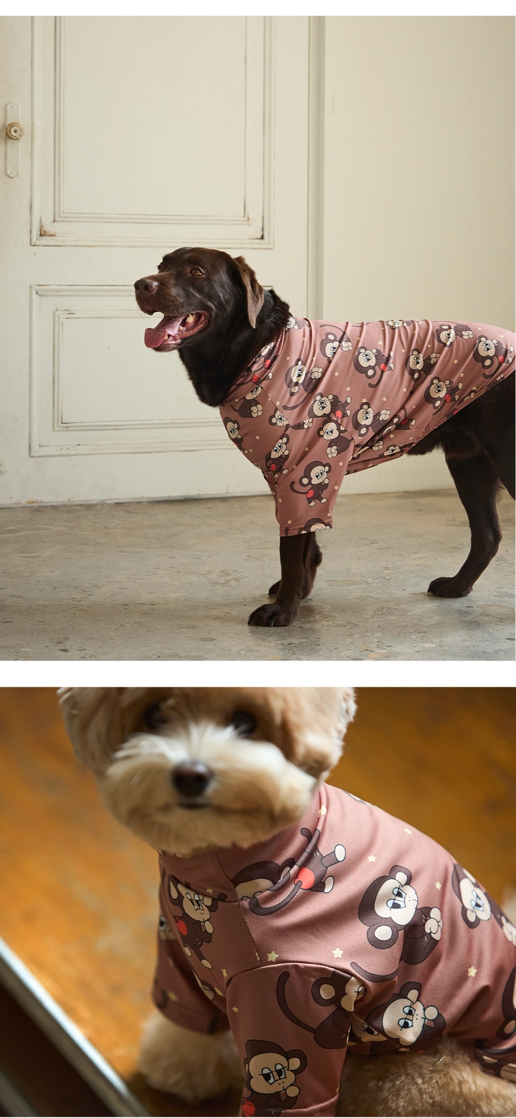 imgi_91_1e256f58cf1d6拷貝