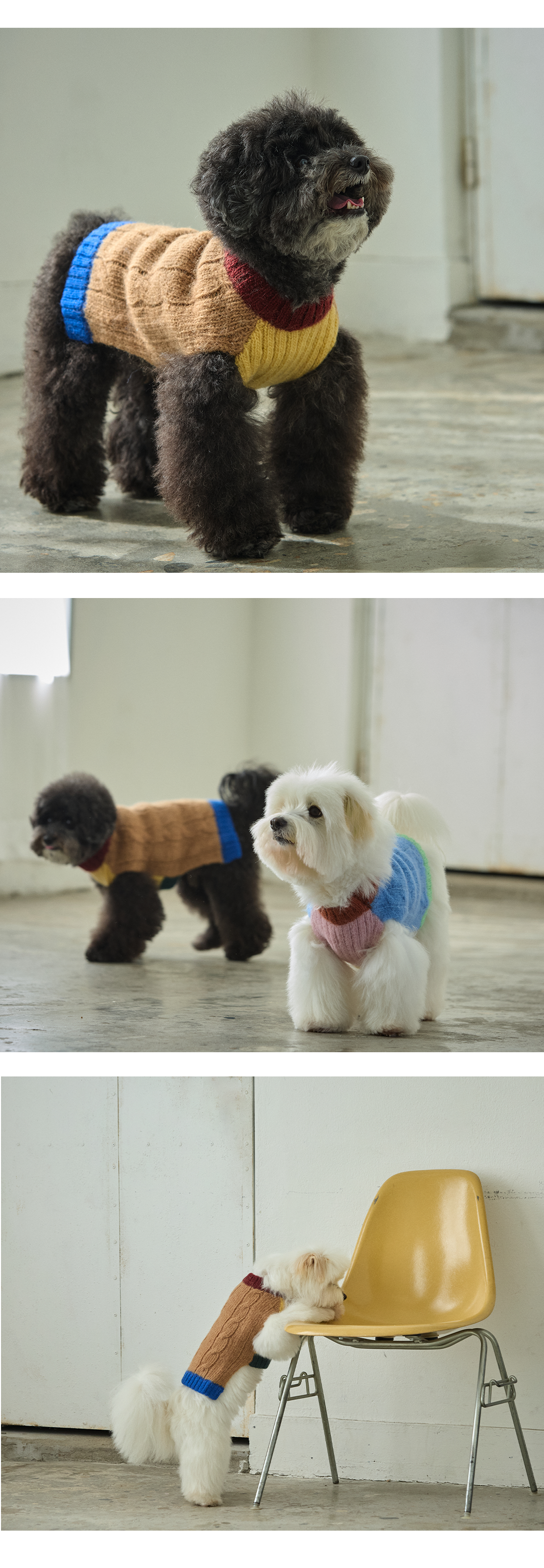 imgi_118_eb06f6f1b339f