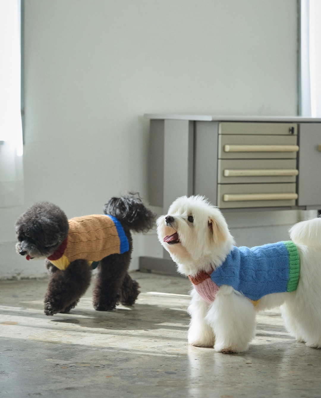 imgi_73_4f6abd759dd31