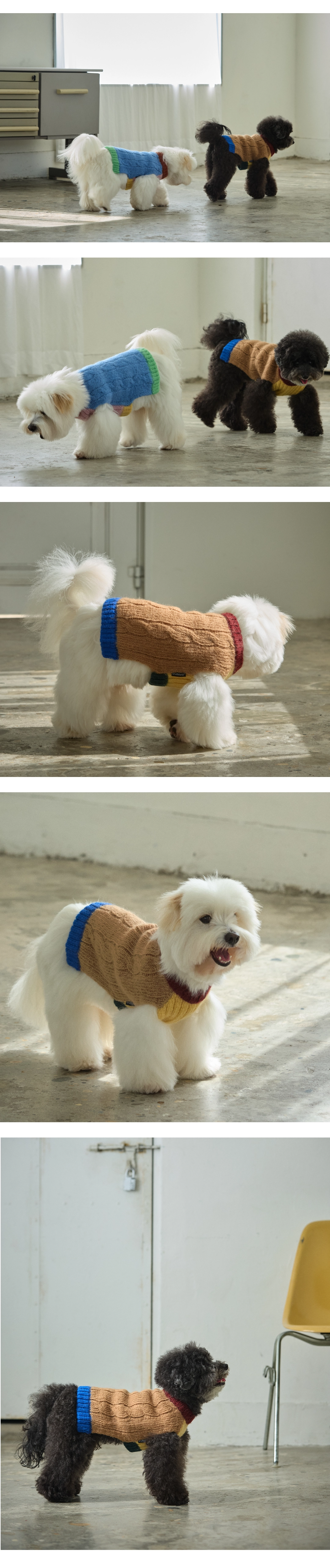 imgi_94_63c616cbda5e5