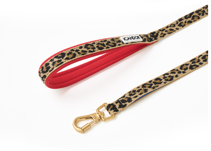 螢幕擷取畫面 2025-10-23 151058