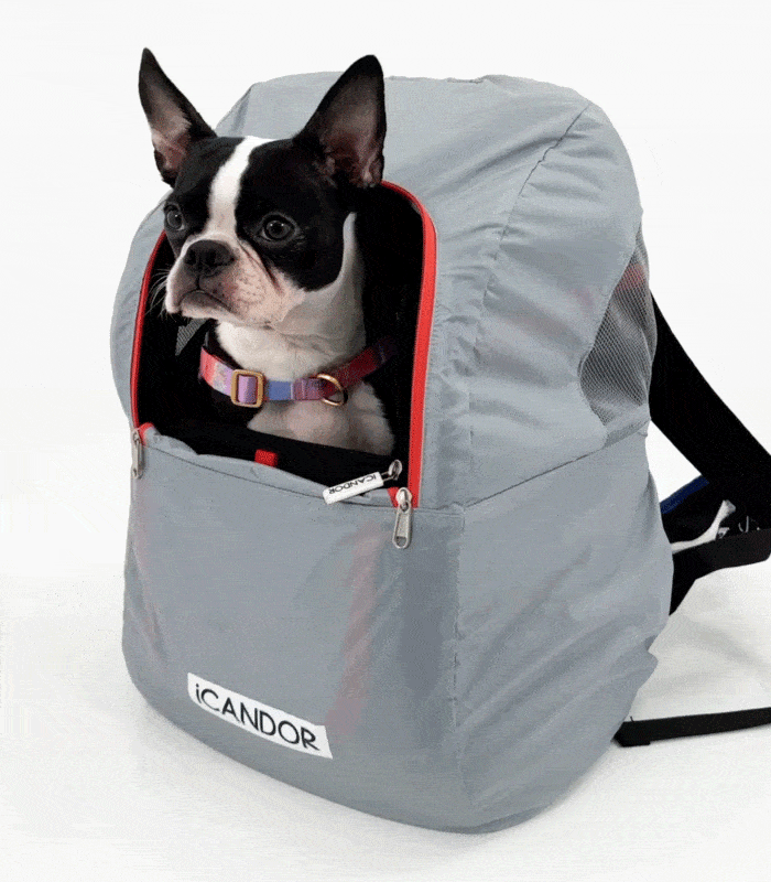 imgi_28_2_EC9C88EB939CEAB080EB939C-EC98A4EC9DB4EC8AA4ED84B0