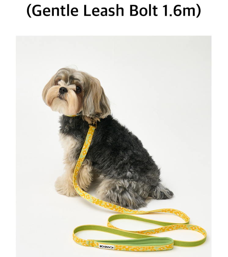 螢幕擷取畫面 2025-10-24 115213