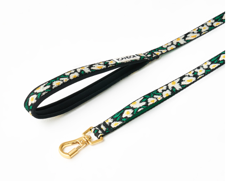 螢幕擷取畫面 2025-10-24 115439