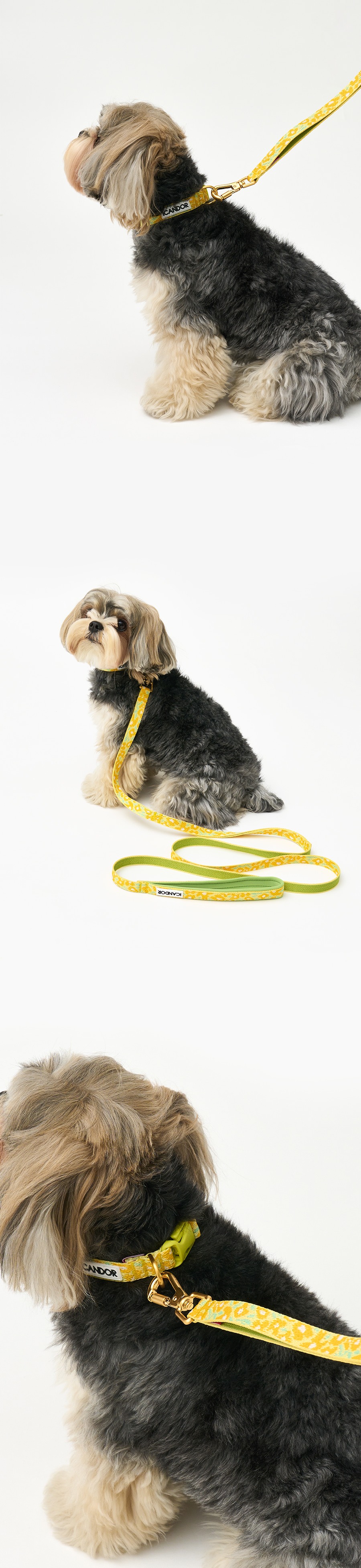 imgi_31_7_ECA0A0ED8B80ECB9B4EB9DBC20XS_ED98B8EBA6ACECA1B420EC9890EBA19CEC9AB0