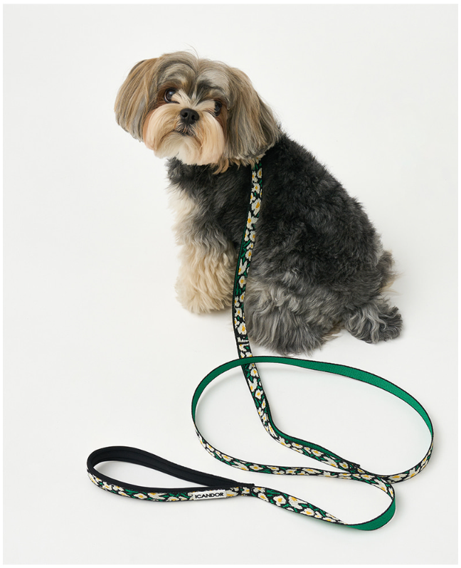 螢幕擷取畫面 2025-10-24 120804