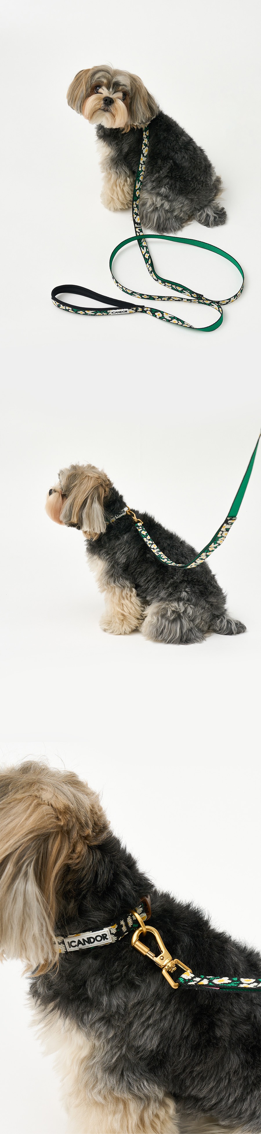 imgi_30_7_ECA0A0ED8B80ECB9B4EB9DBC20XS_ED98B8EBA6ACECA1B420EBB894EB9E99