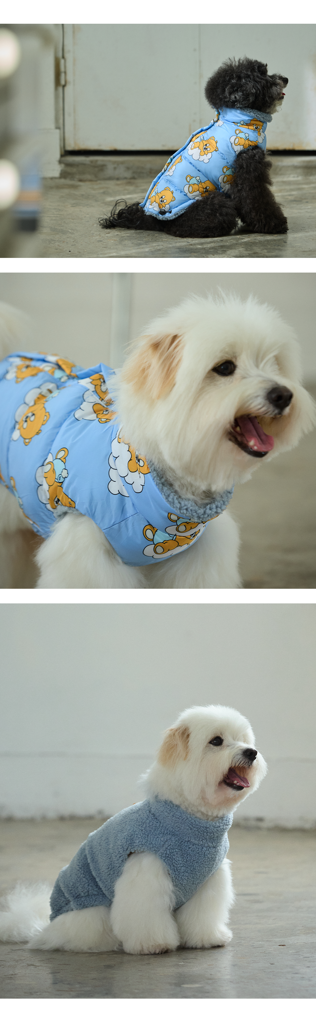 imgi_141_341b1df0c1a7c