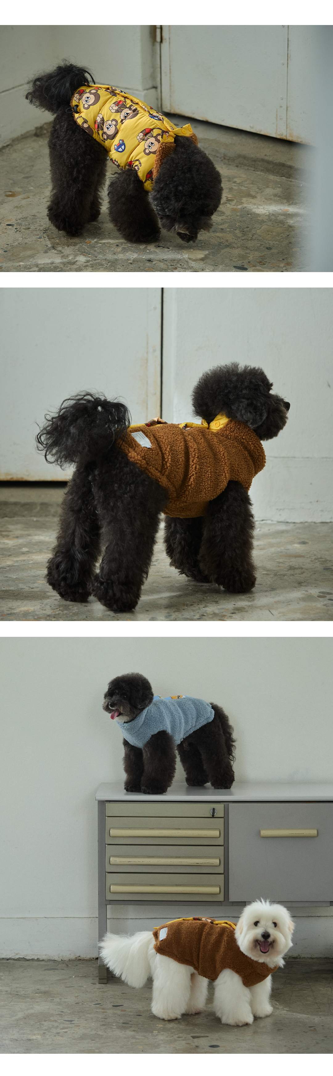 imgi_137_6d2bd4a9bda16