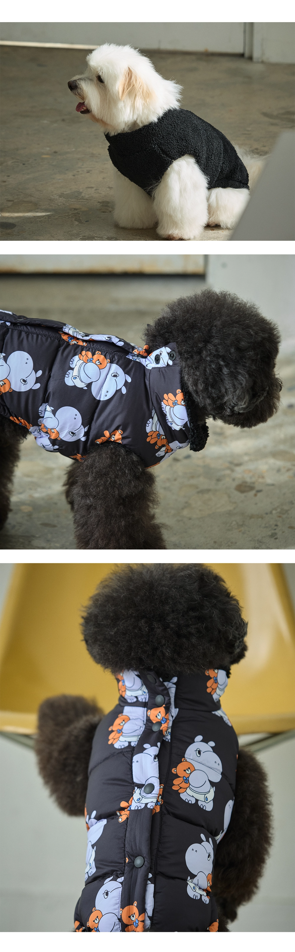 imgi_100_afda04f3b26ad