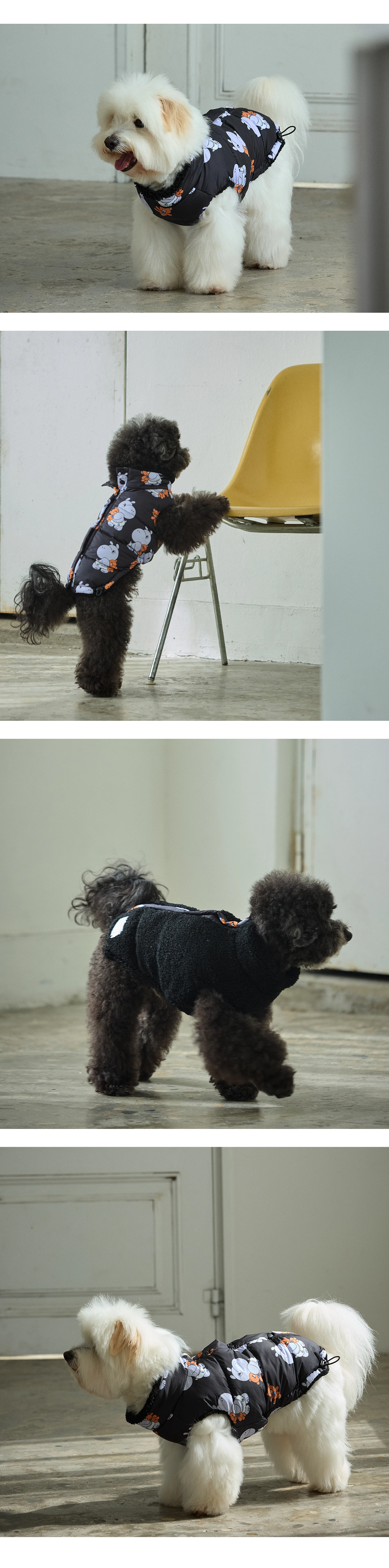 imgi_121_4ee5fec2eaf86